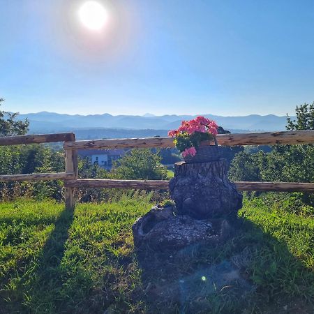 Camp The Sunrise Hill Otel Pivka Dış mekan fotoğraf