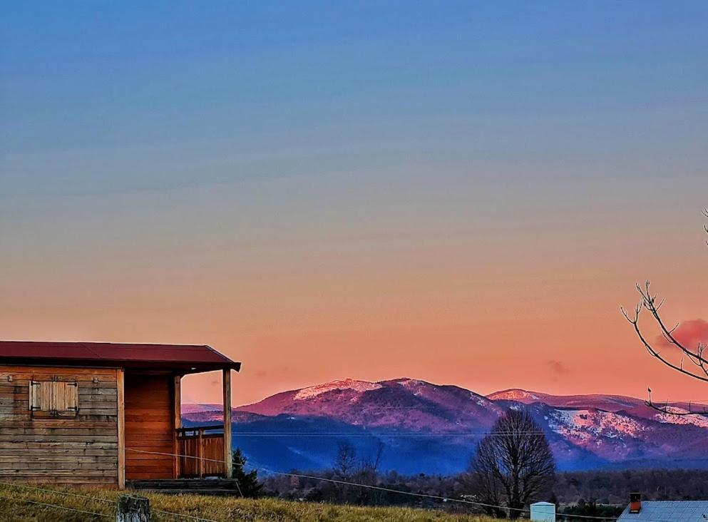 Camp The Sunrise Hill Otel Pivka Dış mekan fotoğraf