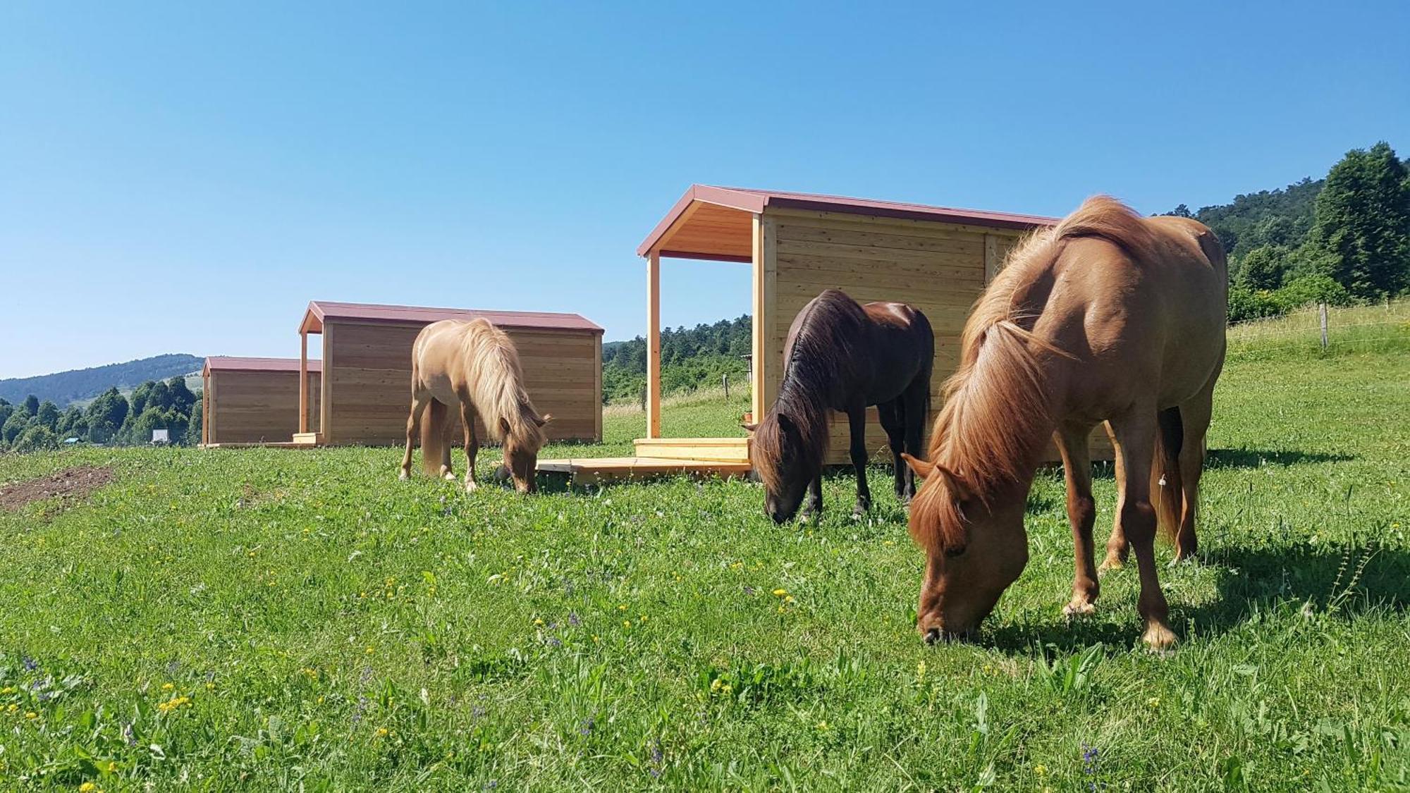 Camp The Sunrise Hill Otel Pivka Dış mekan fotoğraf